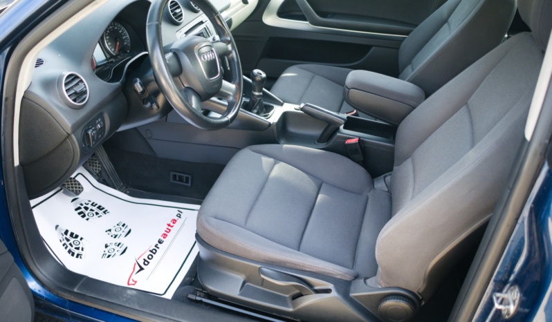 Audi A3 full