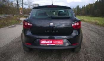 Seat Ibiza full