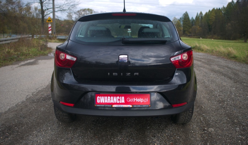Seat Ibiza full