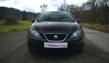 Seat Ibiza full