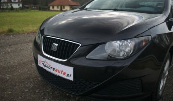 Seat Ibiza full