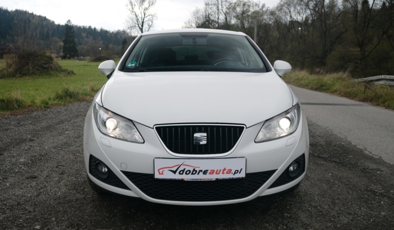 Seat Ibiza full