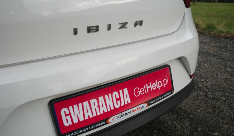 Seat Ibiza full