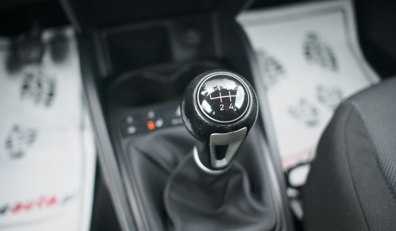 Seat Ibiza full