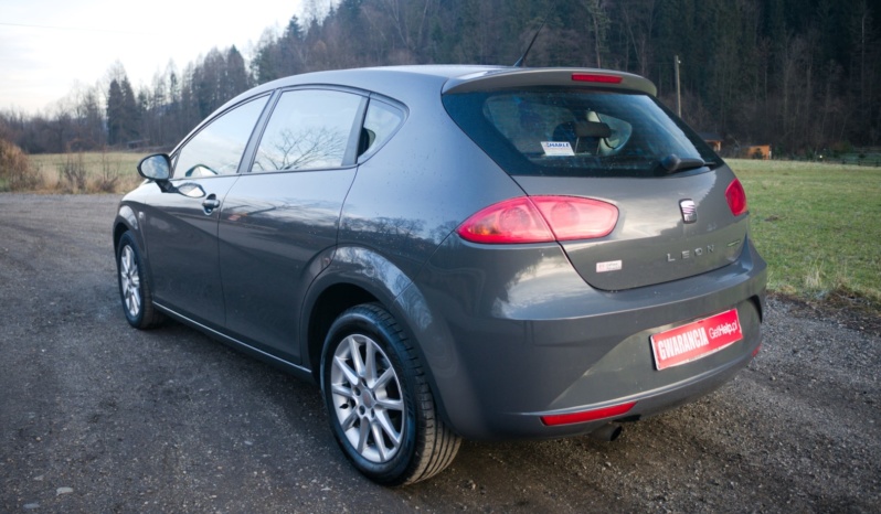 Seat Leon full