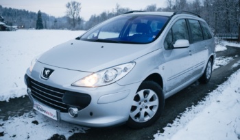 Peugeot 307 full