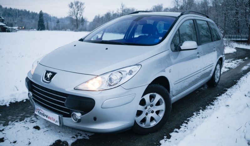 Peugeot 307 full