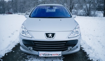 Peugeot 307 full