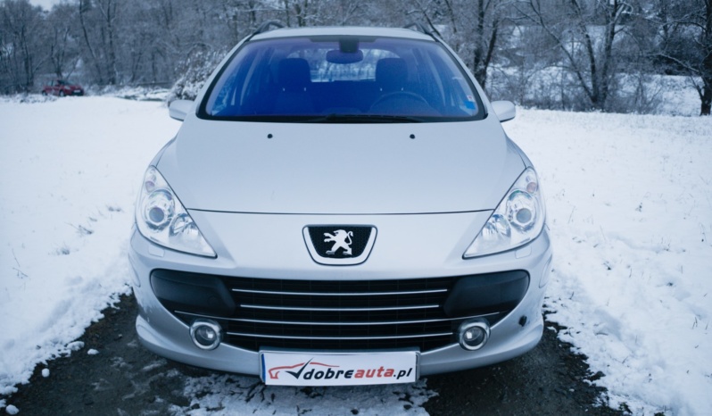 Peugeot 307 full