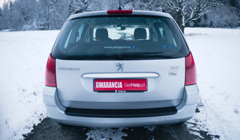 Peugeot 307 full