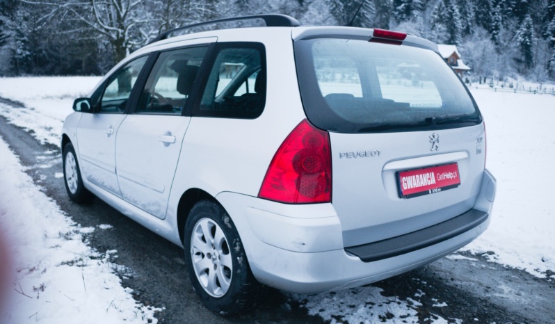 Peugeot 307 full
