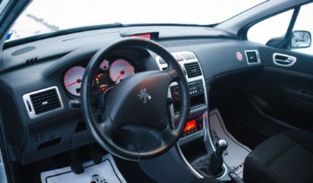 Peugeot 307 full