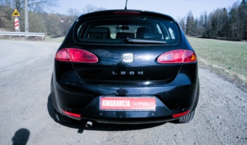Seat Leon full