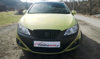 Seat Ibiza full