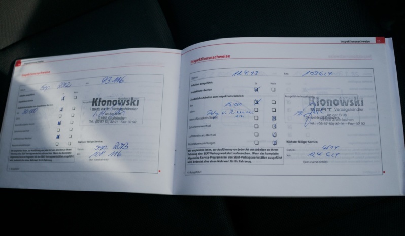 Seat Ibiza full