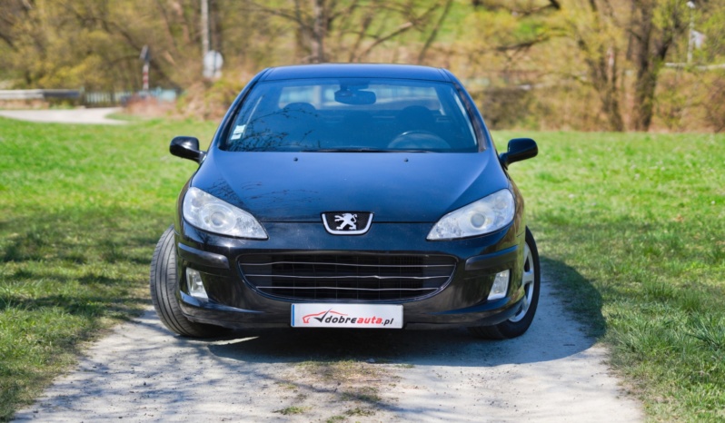Peugeot 407 full