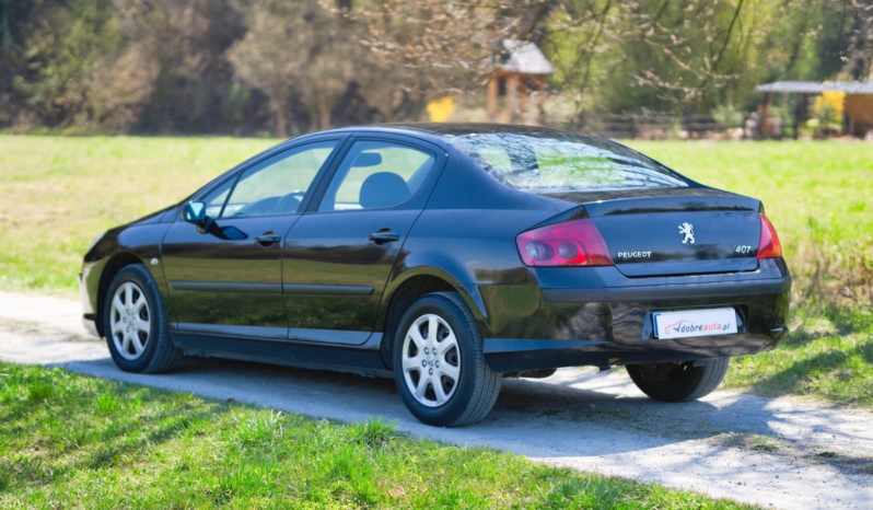 Peugeot 407 full