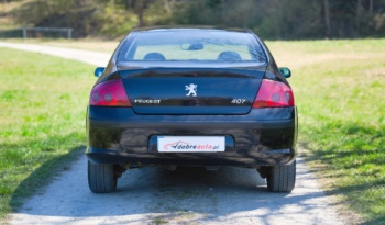 Peugeot 407 full
