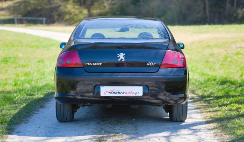 Peugeot 407 full