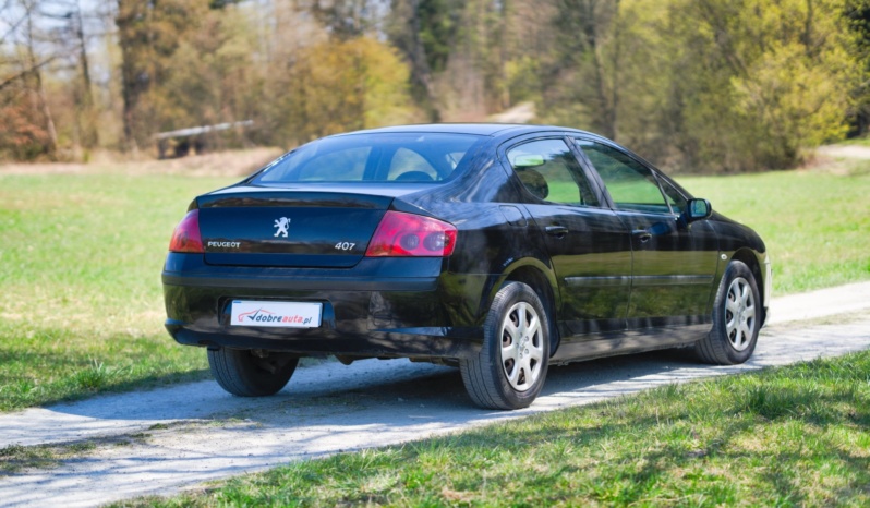 Peugeot 407 full