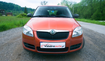 Skoda Fabia full