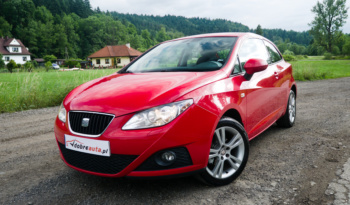 Seat Ibiza full