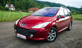 Peugeot 307 full