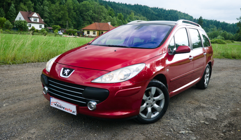Peugeot 307 full