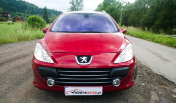 Peugeot 307 full
