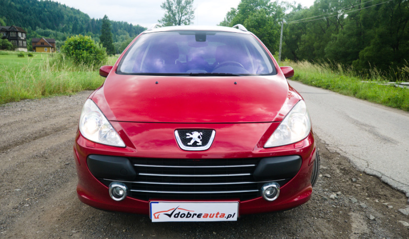 Peugeot 307 full
