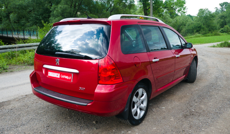 Peugeot 307 full