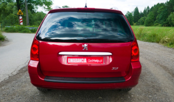 Peugeot 307 full