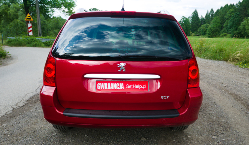 Peugeot 307 full