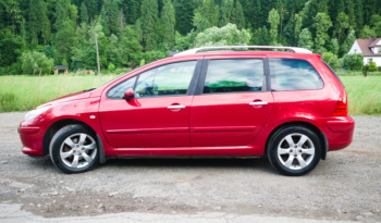 Peugeot 307 full