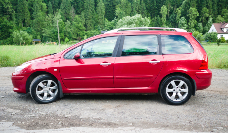 Peugeot 307 full