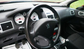 Peugeot 307 full