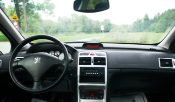 Peugeot 307 full