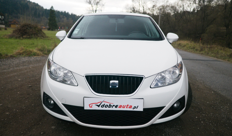 Seat Ibiza full