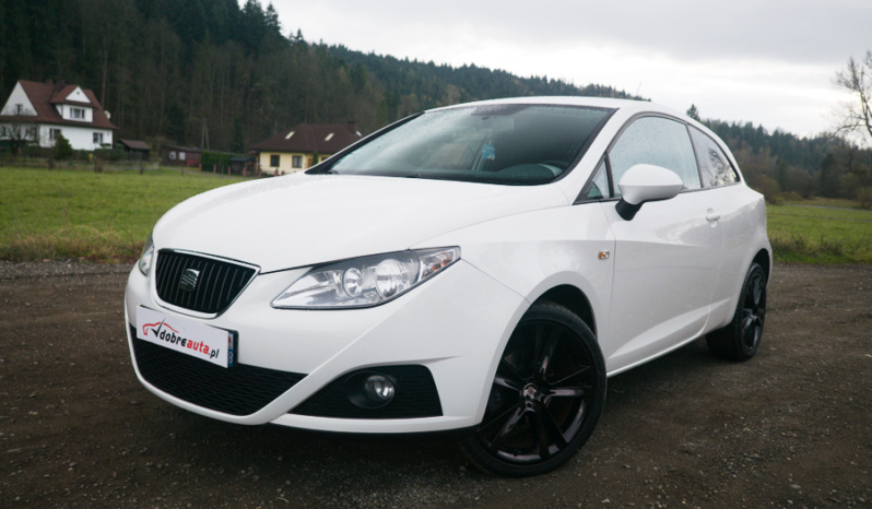 Seat Ibiza full