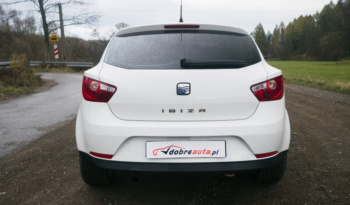 Seat Ibiza full