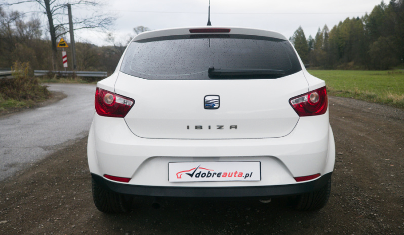 Seat Ibiza full