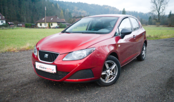 Seat Ibiza full