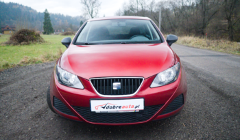Seat Ibiza full