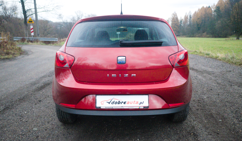 Seat Ibiza full