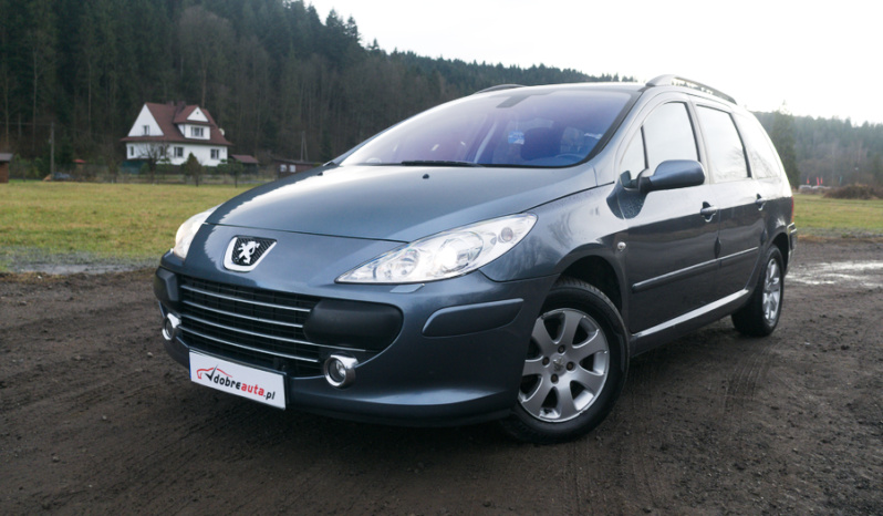 Peugeot 307 full
