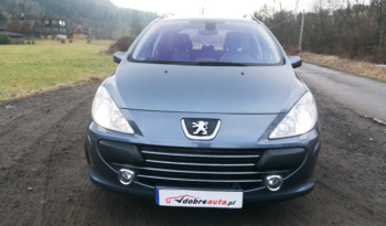 Peugeot 307 full