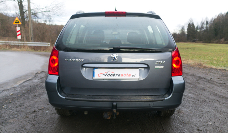 Peugeot 307 full