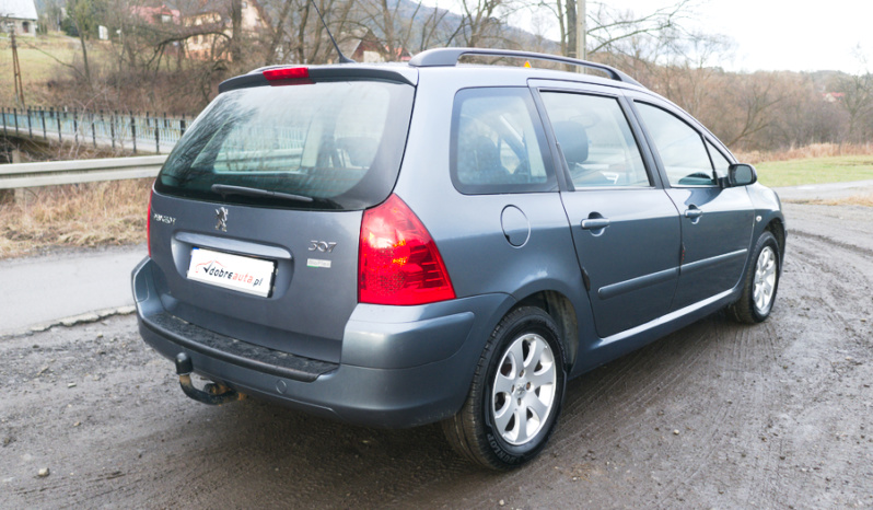 Peugeot 307 full