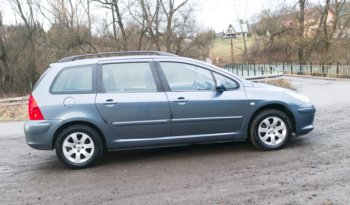 Peugeot 307 full