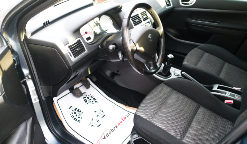 Peugeot 307 full